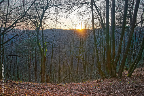 Sunset at forest in Belmontas Pavilniai regional park near Vilnius photo