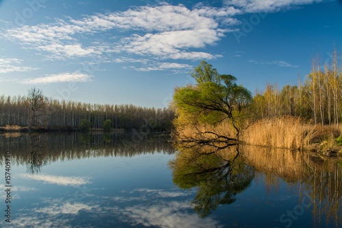 Water flow in a protected area along the river Danube Central Europe