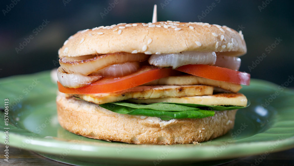 Closeup on vegan hamburger with tomatoes, onion rings, green leaves and tofu, on green plate, against dark background, viewed from the side Closeup on vegan hamburger with tomatoes, onion rings, green leaves and tofu, on green plate, against dark background, viewed from the side