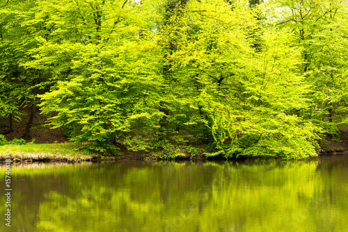 Canvas Print view of a lake with reflection of trees - seen at nature reserve wahner heide ne