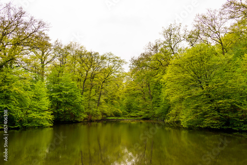 view of a lake with reflection of trees - seen at nature reserve wahner heide near cologne, germany
