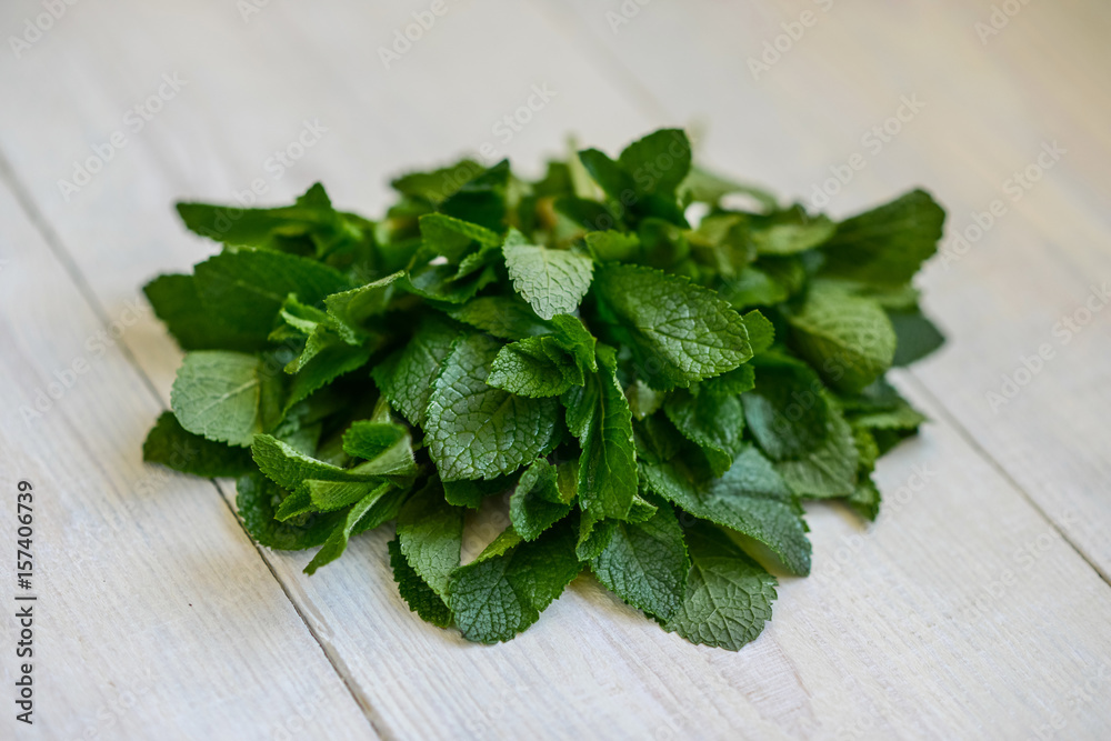 Fresh juicy mint leaves on a white wooden background Fresh juicy mint leaves on a white wooden background