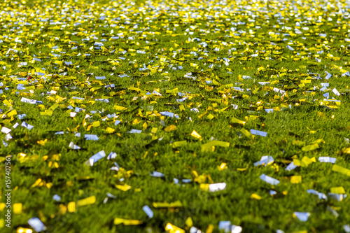 confetti on a football pitch