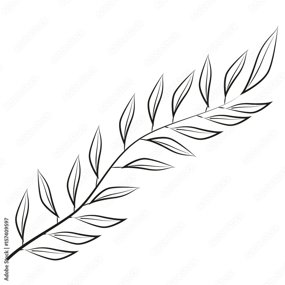 Obraz premium Olive branch vector image
