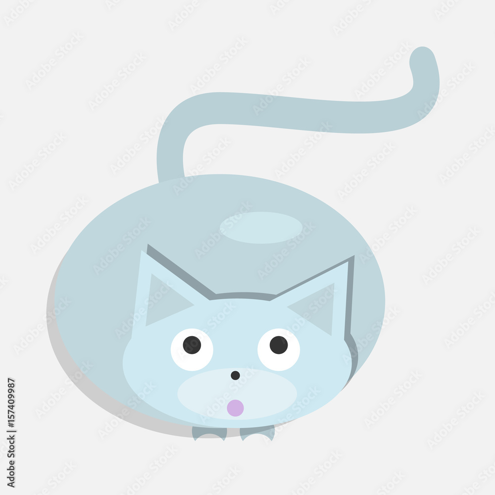 Obraz premium Cat.Top view