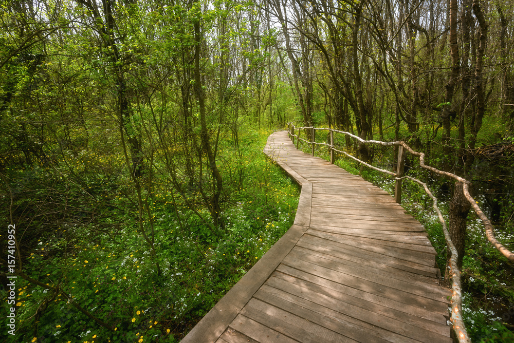 National Park Ropotamo Bulgaria. Wooden bridge leads to the Ropotamo river crossing green spring forest. National Park Ropotamo Bulgaria. Wooden bridge leads to the Ropotamo river crossing green spring forest.