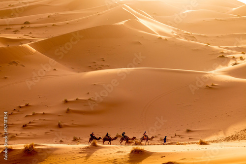 Kamelkarawane zieht durch die Wüste Sahara 