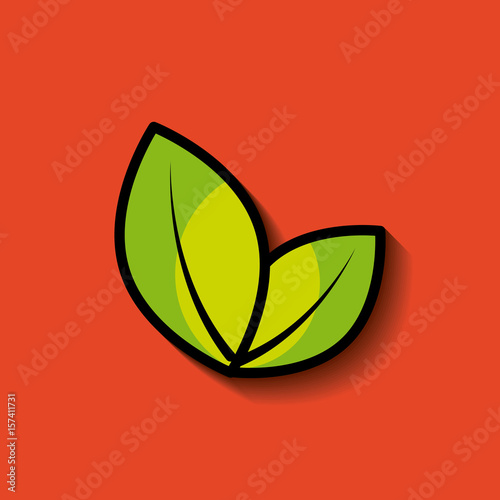 two leaves nature concept image vector illustration design 