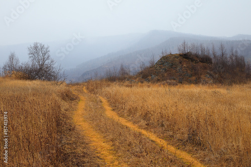 Autumn yellow path leading to foggy mountains, perspective view