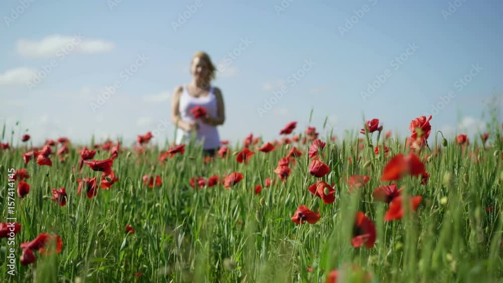 Young woman in poppy field touching flowers Young woman in poppy field touching flowers