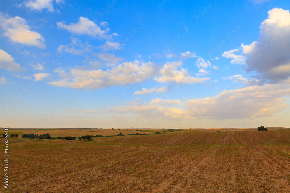 Wide field with white clouds at sunrise Wide field with white clouds at sunrise