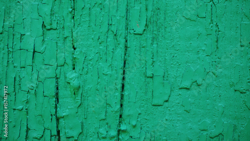 Wooden green wall background
