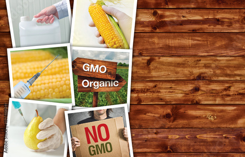 Genetic modification, science and technology in agriculturre, ph