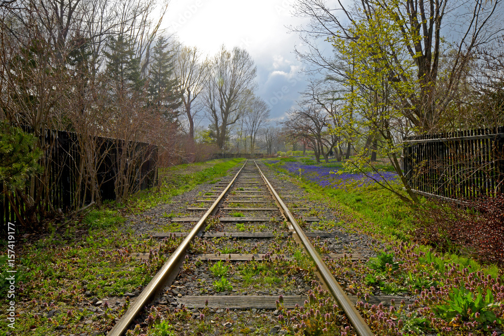 Fototapeta premium Railroad