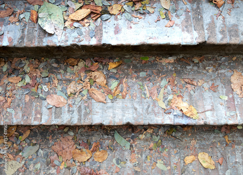 dried leaves on grunge gray cement steps. texture background block stairs.