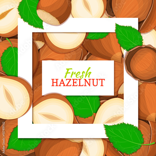Square white frame and rectangle label on nutty hazelnut background. Vector card illustration