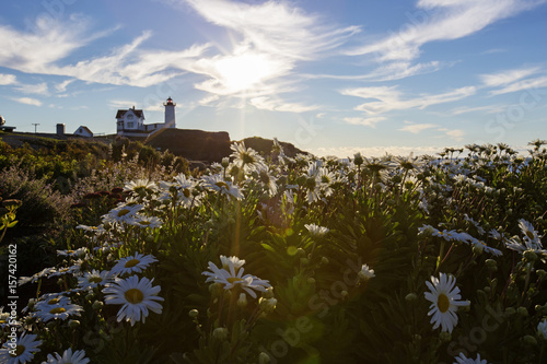 Nubble Light - Cape Neddick Lighthouse - Sohier Park - York Maine photo
