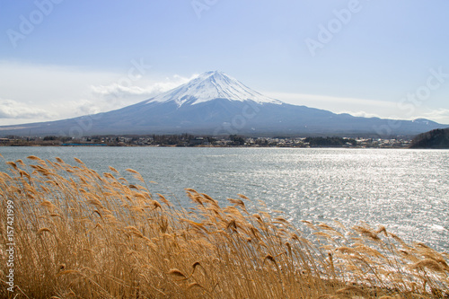 Mt Fuji view from the lake photo