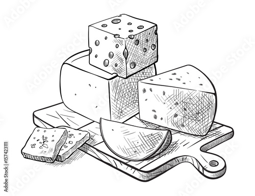 cheese making various types of cheese set of vector sketches on a white background