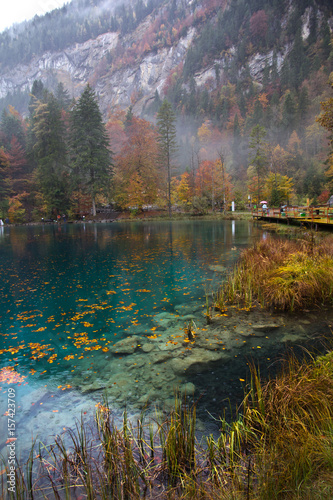 Fototapeta Naklejka Na Ścianę i Meble -  Scenic landscape view of blue lake in Autumn. Crystal clear lake of Blausee Switzerland