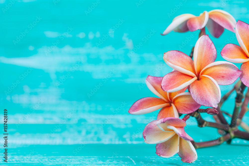Plumeria flower on wood Plumeria flower on wood