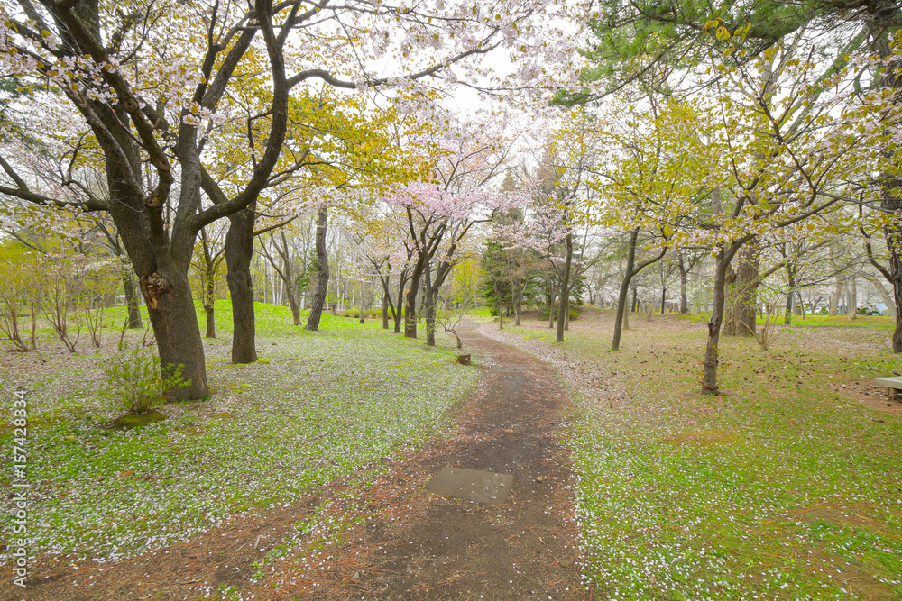 public park