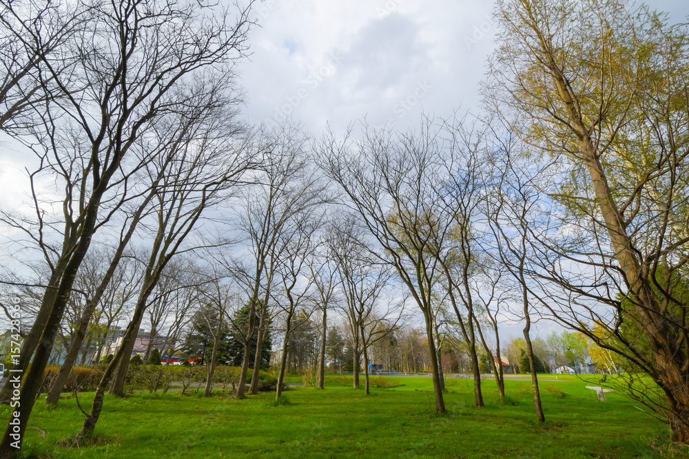 public park public park