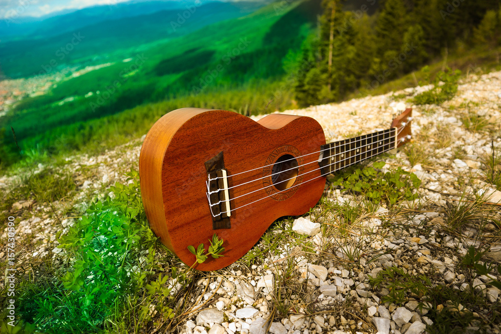 Ukulele guitar at the mountain nature pine forest landscape. Photo depicts  musical instrument Ukulele small guitar in outdoor natural green  background. Strings close up. Macro view. Stock-Foto | Adobe Stock