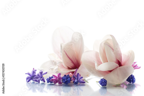Set of spring flowers with magnolia