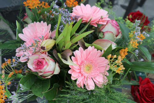 pâquerettes et roses