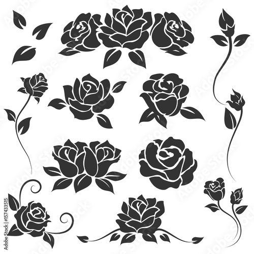 Hand drawn roses isolated on white background. Vector flourish engraving templates