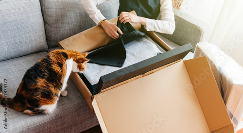 Cat and Woman unpacks unboxing new parcel containing fashion clothes photo