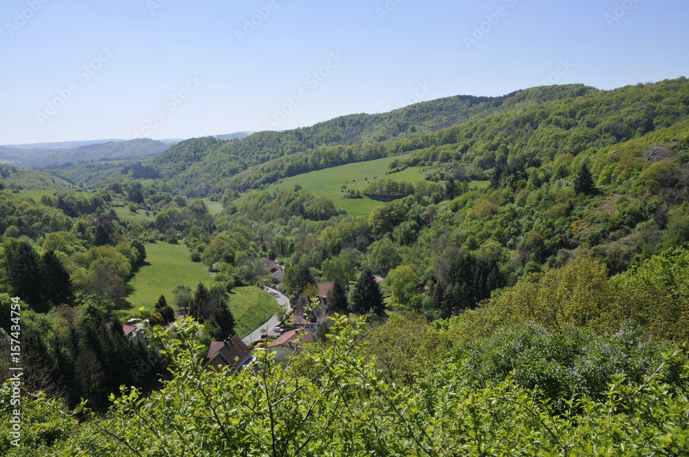 Naklejka premium blick von burg falkenstein auf den pfälzer wald