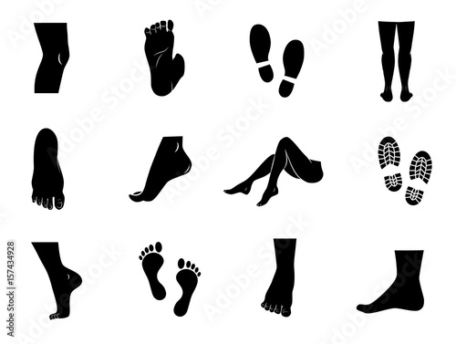 Human leg icon set. Vector art.