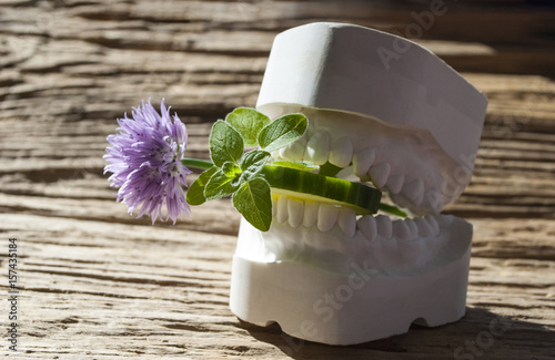Gebiss Abdruck mit Schnittlauchblüte, Kräuter und Gurke, Gipsabdruck, gesunde Ernährung, Zahngesundheit, Diät