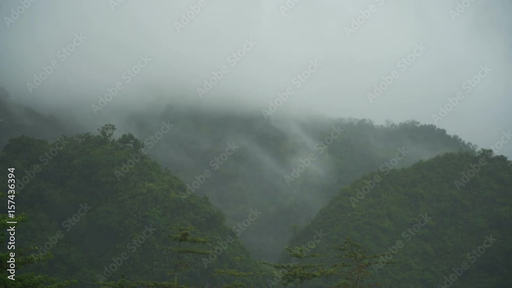 Fog in the mountainous rainforest. Fog in the mountains, and cloudy weather. Low clouds and fog on the mountain. 4K video.