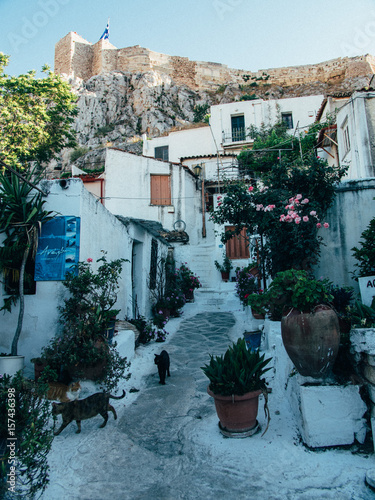 Fototapeta Naklejka Na Ścianę i Meble -  Cosy little district in athens