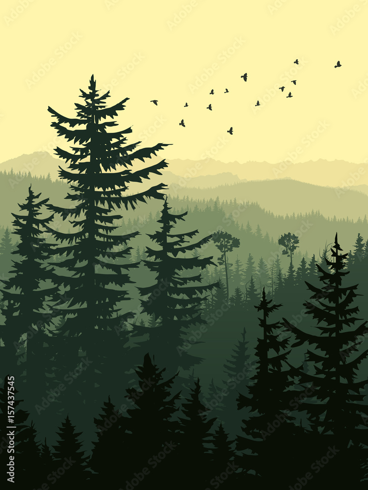 Fototapeta premium Vertical illustration of green forest mountains.