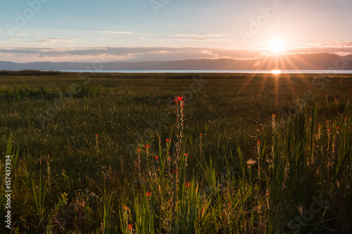 Sunrise at Bear Lake, with the sun lighting up foreground flowers 