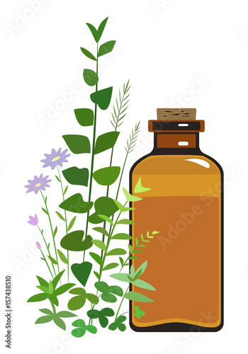 Bottle of essential oil with fresh herbs and flowers is isolated on white background. Vector illustration.