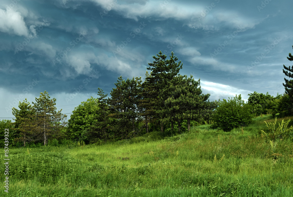 Obraz premium Before a storm