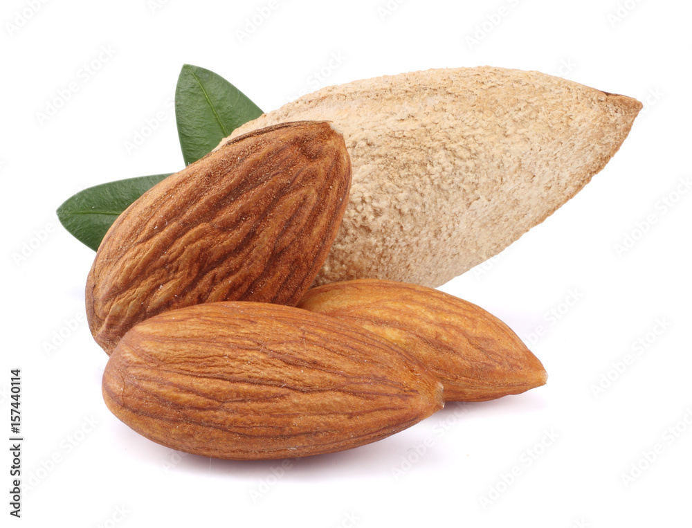 almond with green leaf isolated on white background almond with green leaf isolated on white background
