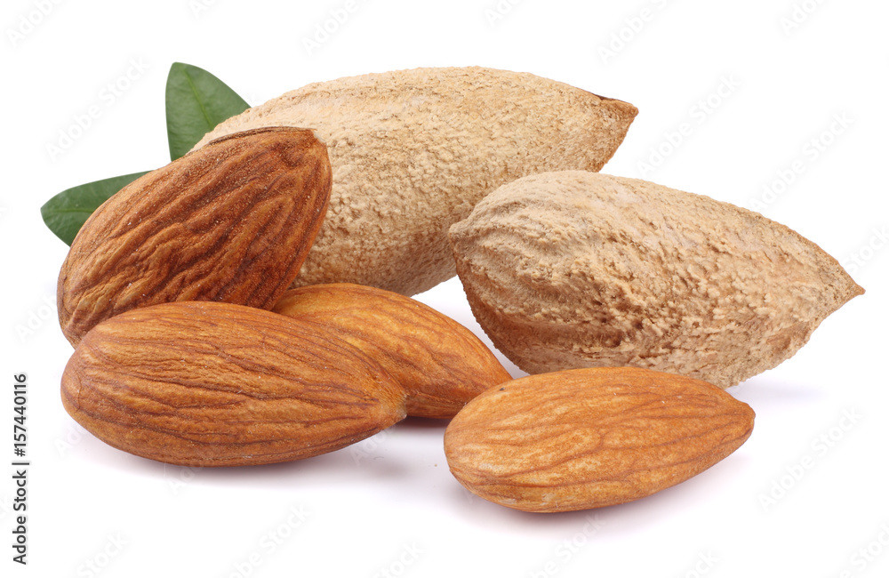 almond with green leaf isolated on white background almond with green leaf isolated on white background