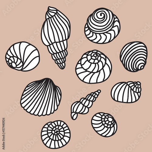 Shells
