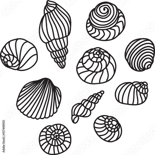 Shells