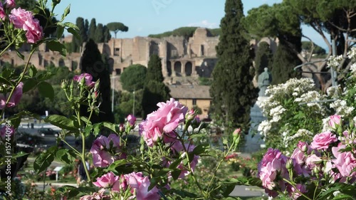 The municipal Rose Garden is a public garden