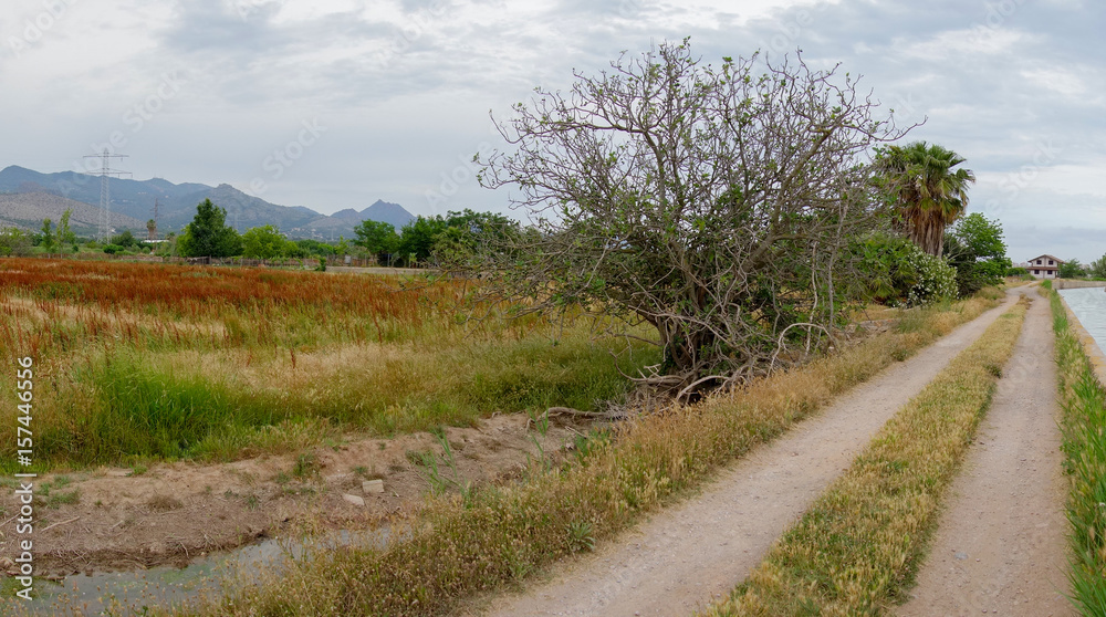 Rural landscape by Castellon in the Valencian community
