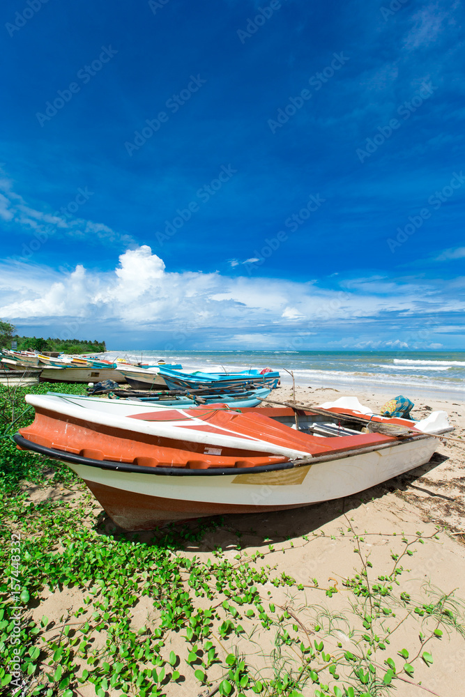  tropical beach in Sri Lanka