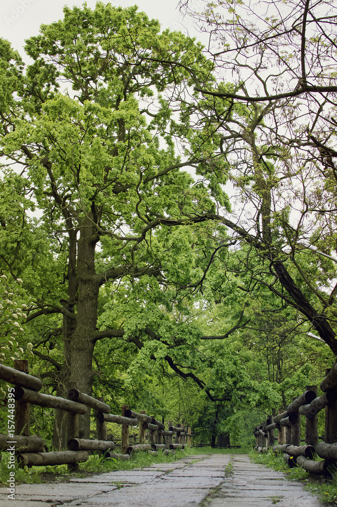 Beautiful wooden dead hedge in the park. Vertical photography. Beautiful wooden dead hedge in the park. Vertical photography.