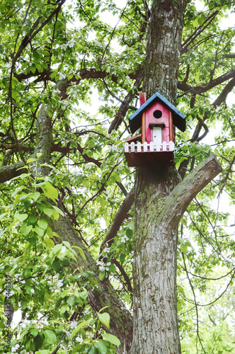Colorful birdhouse on the tree.